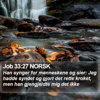 Job 33:27 NORSK Bible Verse Image