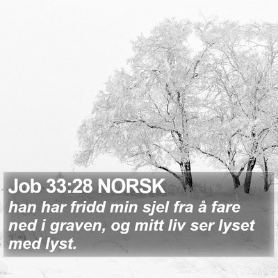 Job 33:28 NORSK Bible Verse Image