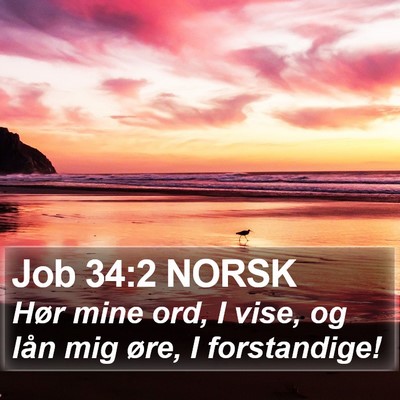 Job 34:2 NORSK Bible Verse Image