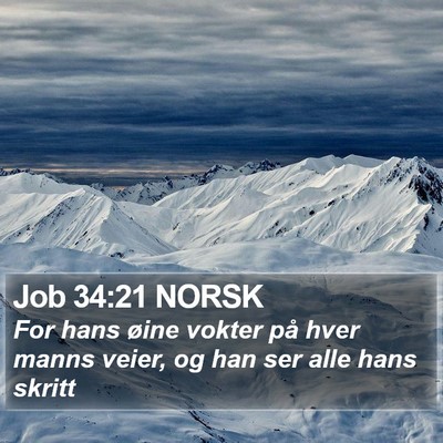 Job 34:21 NORSK Bible Verse Image