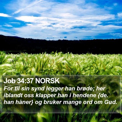 Job 34:37 NORSK Bible Verse Image