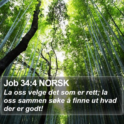 Job 34:4 NORSK Bible Verse Image