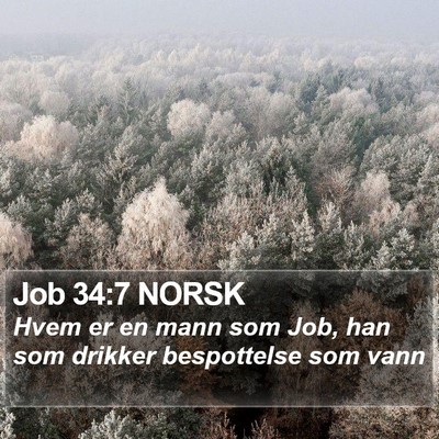 Job 34:7 NORSK Bible Verse Image