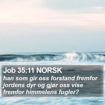 Job 35:11 NORSK Bible Verse Image
