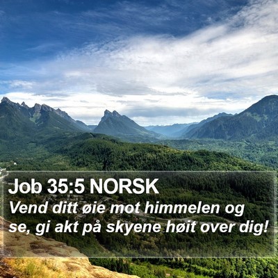 Job 35:5 NORSK Bible Verse Image