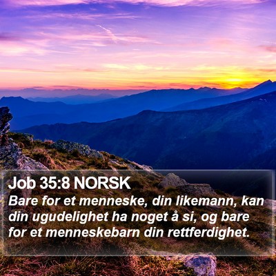 Job 35:8 NORSK Bible Verse Image