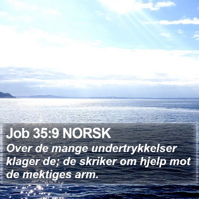 Job 35:9 NORSK Bible Verse Image