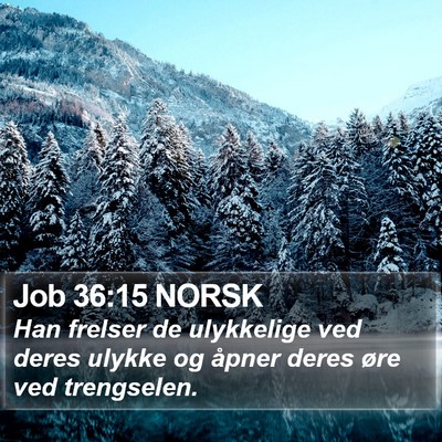 Job 36:15 NORSK Bible Verse Image