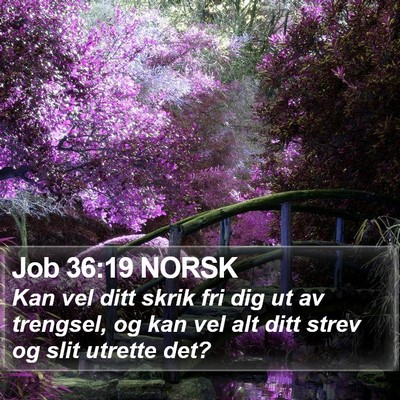 Job 36:19 NORSK Bible Verse Image