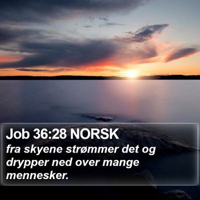 Job 36:28 NORSK Bible Verse Image