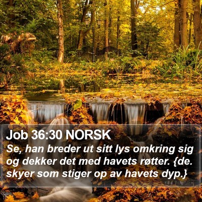 Job 36:30 NORSK Bible Verse Image