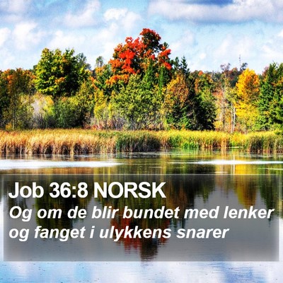 Job 36:8 NORSK Bible Verse Image