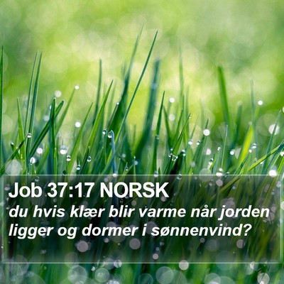 Job 37:17 NORSK Bible Verse Image