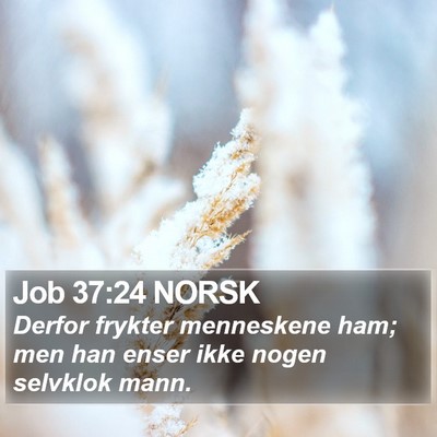 Job 37:24 NORSK Bible Verse Image