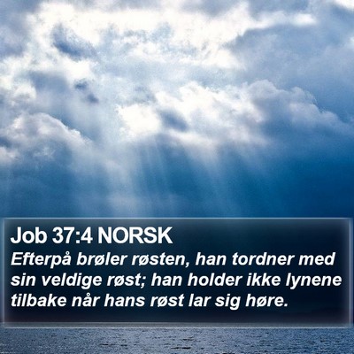 Job 37:4 NORSK Bible Verse Image