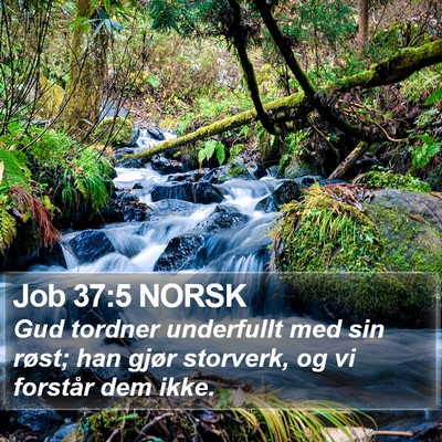 Job 37:5 NORSK Bible Verse Image