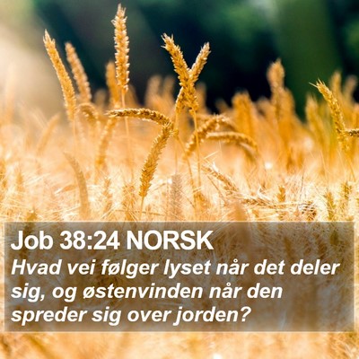 Job 38:24 NORSK Bible Verse Image
