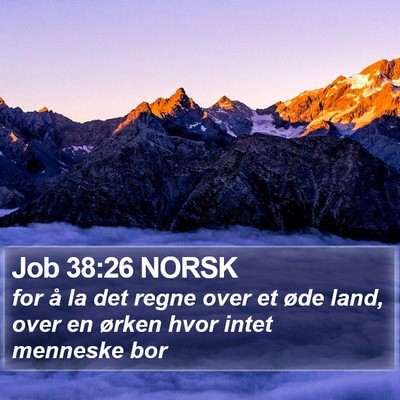 Job 38:26 NORSK Bible Verse Image