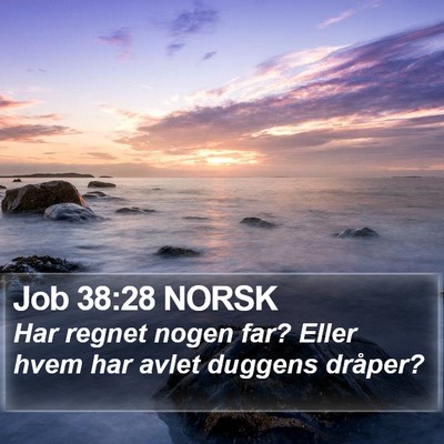 Job 38:28 NORSK Bible Verse Image