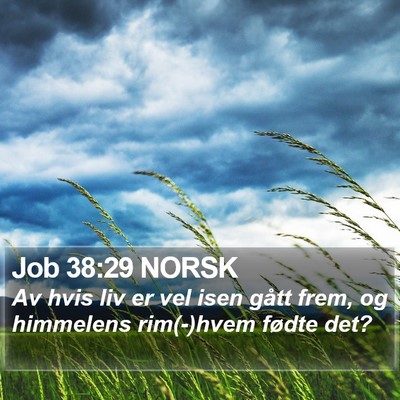 Job 38:29 NORSK Bible Verse Image