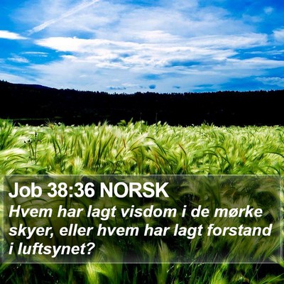Job 38:36 NORSK Bible Verse Image