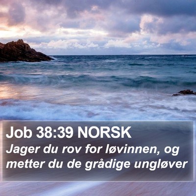 Job 38:39 NORSK Bible Verse Image