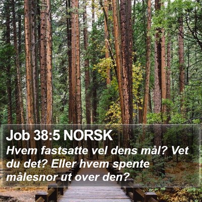 Job 38:5 NORSK Bible Verse Image