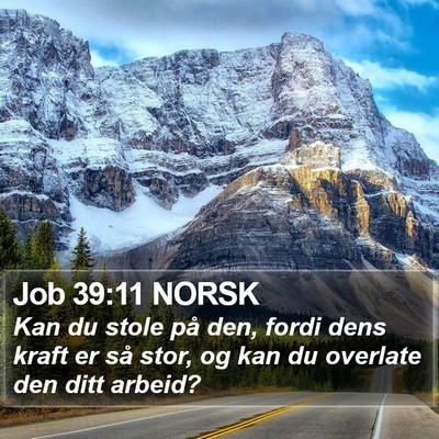 Job 39:11 NORSK Bible Verse Image