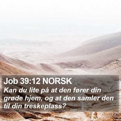 Job 39:12 NORSK Bible Verse Image