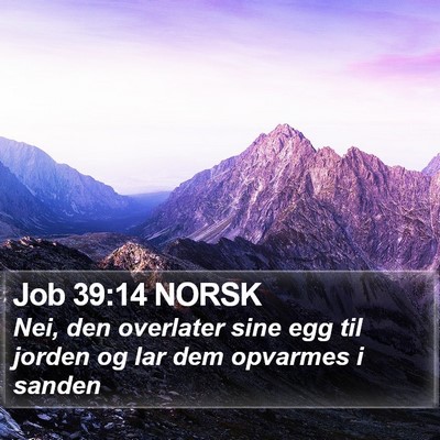Job 39:14 NORSK Bible Verse Image
