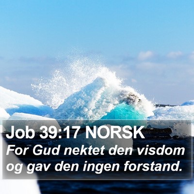 Job 39:17 NORSK Bible Verse Image