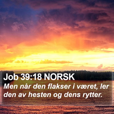 Job 39:18 NORSK Bible Verse Image