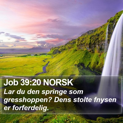 Job 39:20 NORSK Bible Verse Image