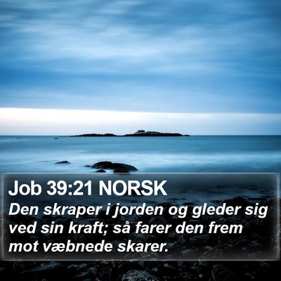 Job 39:21 NORSK Bible Verse Image