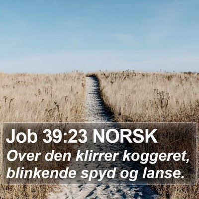 Job 39:23 NORSK Bible Verse Image