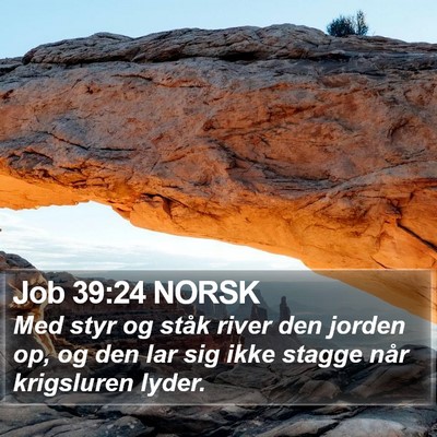 Job 39:24 NORSK Bible Verse Image