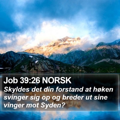 Job 39:26 NORSK Bible Verse Image