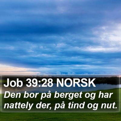 Job 39:28 NORSK Bible Verse Image