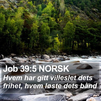 Job 39:5 NORSK Bible Verse Image