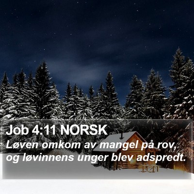 Job 4:11 NORSK Bible Verse Image