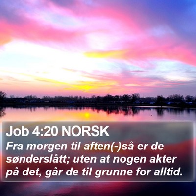 Job 4:20 NORSK Bible Verse Image