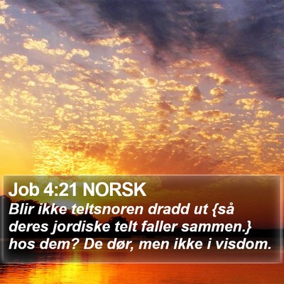 Job 4:21 NORSK Bible Verse Image