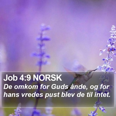 Job 4:9 NORSK Bible Verse Image