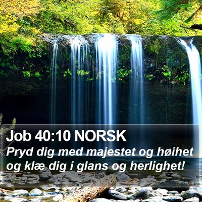 Job 40:10 NORSK Bible Verse Image