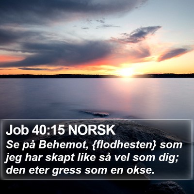 Job 40:15 NORSK Bible Verse Image