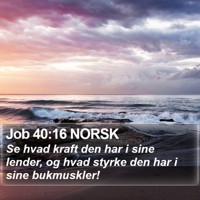 Job 40:16 NORSK Bible Verse Image