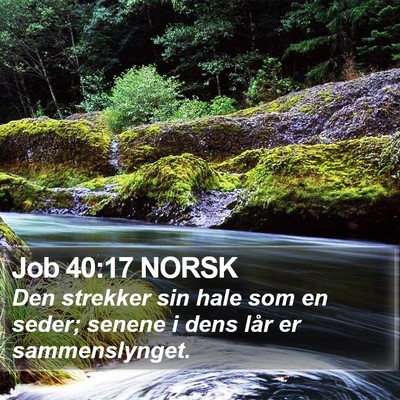 Job 40:17 NORSK Bible Verse Image