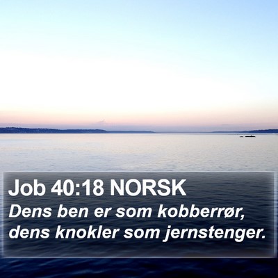 Job 40:18 NORSK Bible Verse Image