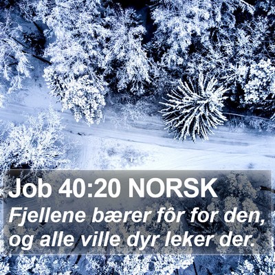 Job 40:20 NORSK Bible Verse Image