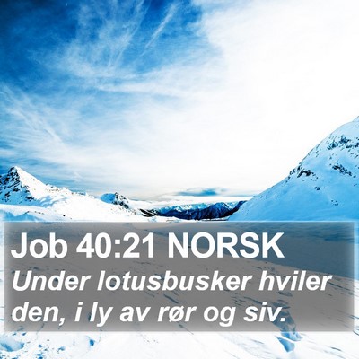 Job 40:21 NORSK Bible Verse Image